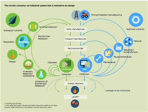 Circular Economy Model According To Ellen Mcarthur Foundation