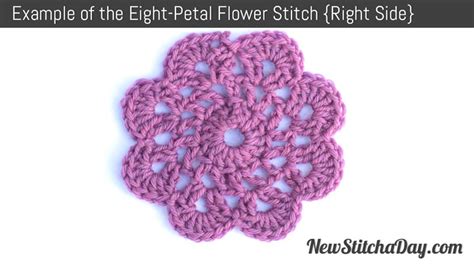 8 Petal Flower Crochet Pattern | Best Flower Site