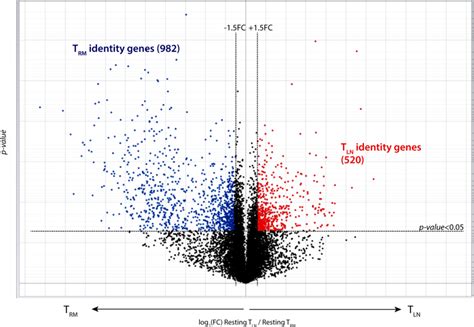 Trm And Tln Identity Genes Are Maintained Following Reactivation Trm Download Scientific