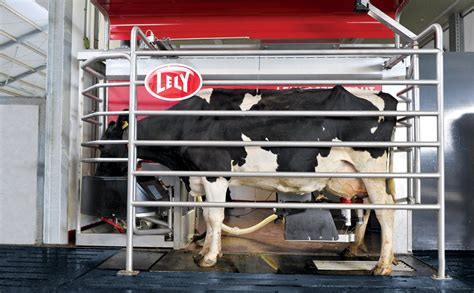 Summary Of The Dairy Crisis A Ma Dairy Farmer Perspective