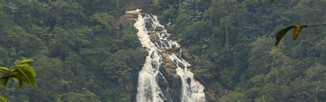 Waterfalls In Wayanad That You Wont Miss Blog