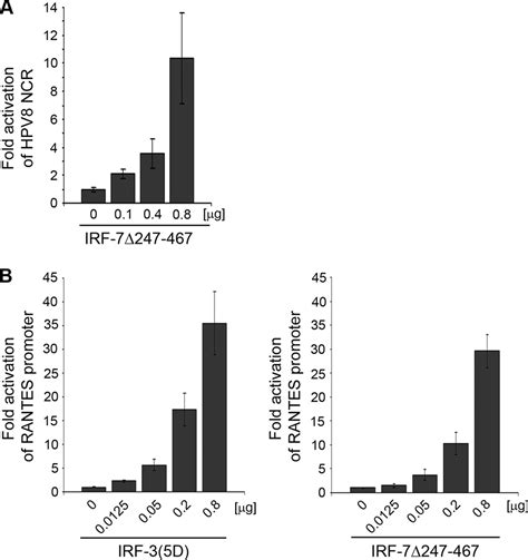 Differential Regulation Of Human Papillomavirus Type 8 By Interferon