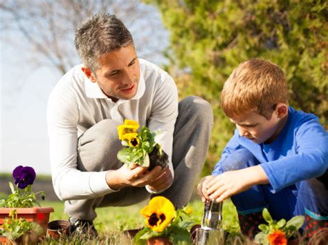 Lentekriebels Tips Voor Het Vergroenen Van Je Tuin Waterschap Aa En Maas