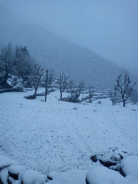 Jalalabad Photo by abdulhaq noori | 1:26 am 31 Dec 2012