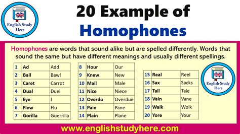 Common Homophones English Study Here