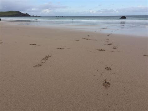 Durness Lesley Kahney Outdoor Beach Water