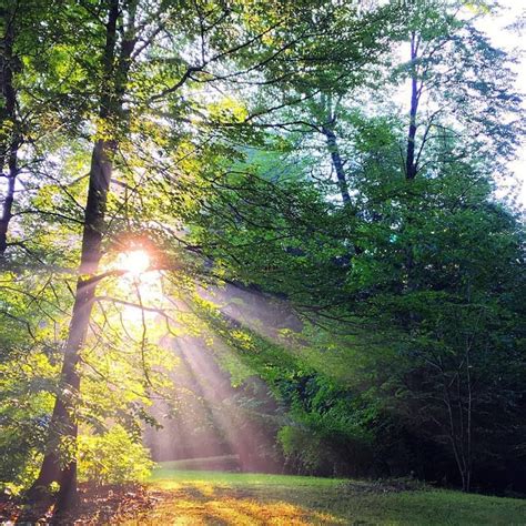 Adirondack Mountains New York | Adirondack mountains, Adirondack, See ...