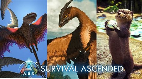 5 best shoulder pets in Ark Survival Ascended