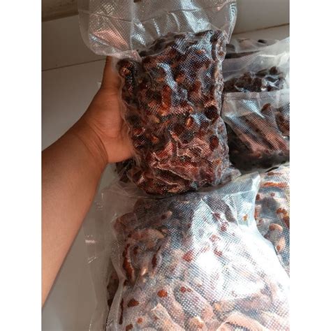 Tamarindo Natural Descascado Pacote 500 Gramas Shopee Brasil