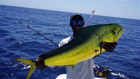 Pesca En Alta Mar En Punta Cana Ms Dreamers