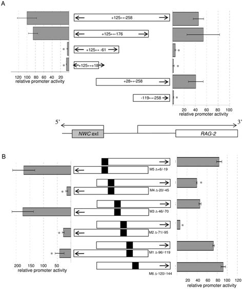 Characterization Of The Bidirectional Activity Of The Nwc Promoter By Download Scientific