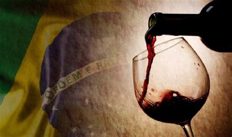 Dia Nacional do Vinho conheça as tendências mitos e curiosidades