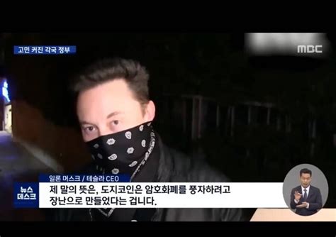 일론 머스크 도지 코인 근황 유머움짤이슈 에펨코리아