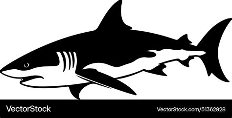 Shark silhouette white background Royalty Free Vector Image