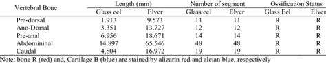 List Of Bone And Ossification Status Download Scientific Diagram