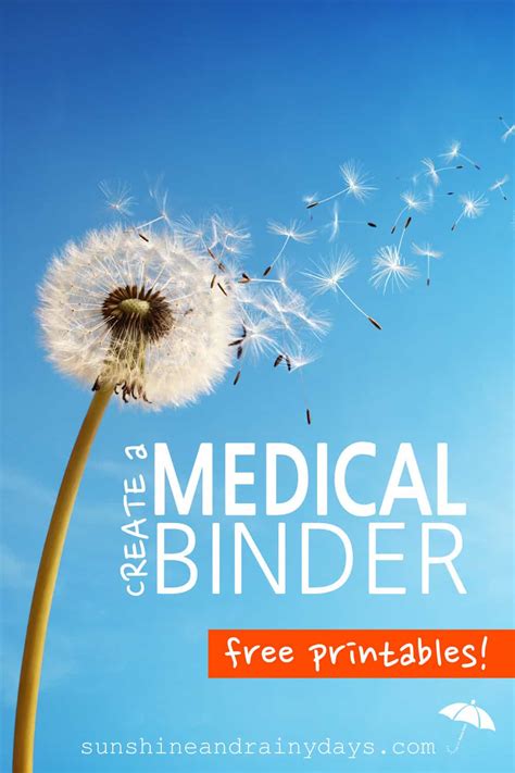 Medical Binder Printables - Sunshine and Rainy Days