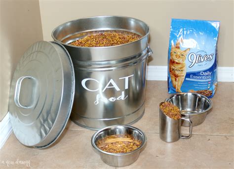 DIY Cat Food Storage Container - A New Dawnn