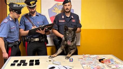 Ai Domiciliari Spaccia Cocaina Sulla Porta Di Casa Arrestato Un Enne