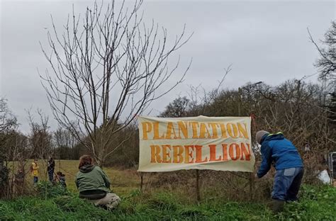 Plantation R Bellion Mobilisation Pour L Avenir De La Pr Valaye