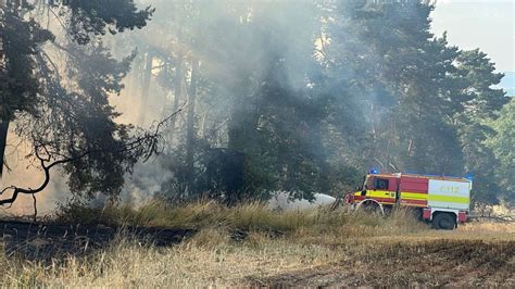 Erneuter Fl Chenbrand Im Kyffh Userkreis Feuerwehren Thw Und