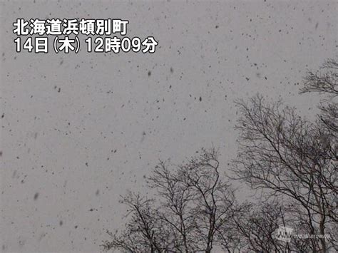 低気圧が急発達 北海道は雪に変わって吹雪に ウェザーニュース