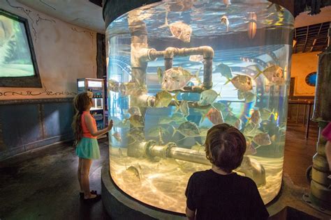 Top 13 Things To Do In Houston With Kids