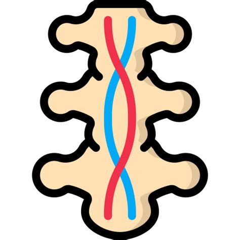 Spinal cord Basic Miscellany Lineal Color icon