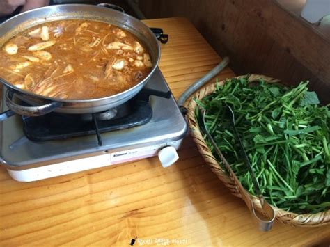 담양 진짜맛집 청둥오리전골 고부정 네이버 블로그