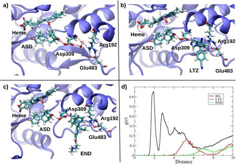 Figure 3 From Rational Design Of Allosteric Modulators Of The Aromatase