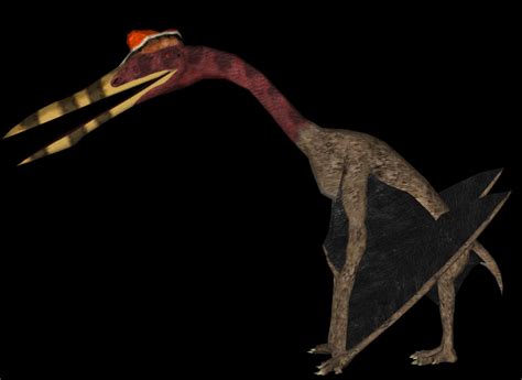 Hatzegopteryx By Skull Island Master On Deviantart