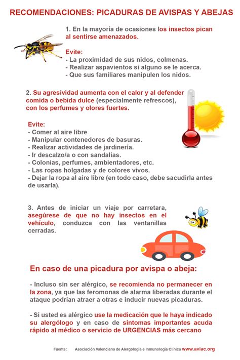 Recomendaciones Para Prevenir Picaduras De Avispas Y Abejas Qué Hacer