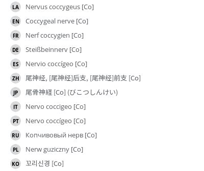 Coccygeal nerve - e-Anatomy - IMAIOS