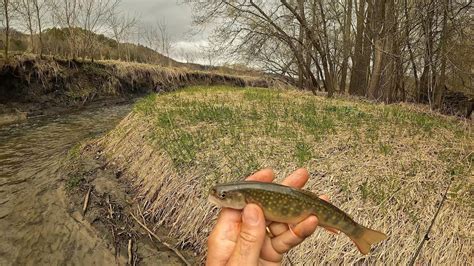 Wisconsin Trout Fishing 4222023 Youtube