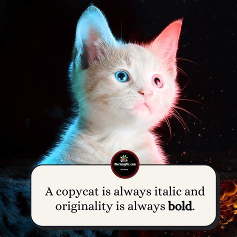 200 Adorable Inspirational Cat Quotes That Will Make You Happy