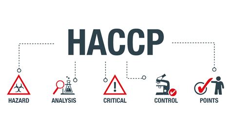 Il Sistema Haccp Ed Il Piano Di Autocontrollo Servit Hse S R L