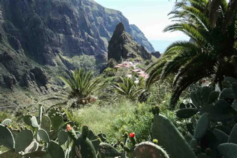 Tenerife North: Discovering Garachico, La Oratava, & Masca