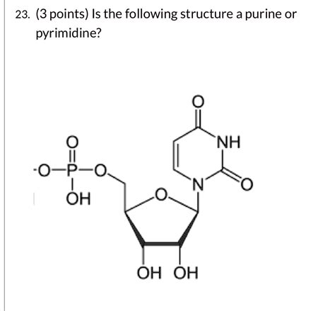 Purine Vs Pyrimidine Structure