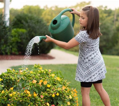 Best Time Of Day To Water Flowering Plants At Harvey Worthy Blog