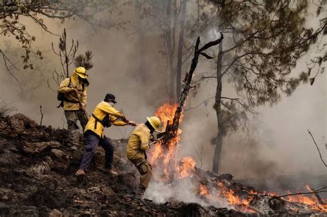 Jalisco bajo fuego incendios forestales azotan de manera simultánea