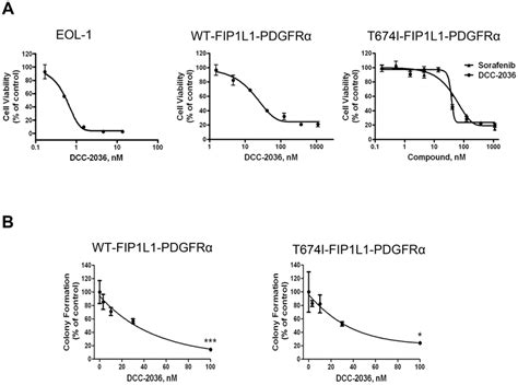 Dcc 2036 Inhibits The Growth Of Fip1l1 Pdgfra Positive Cells A