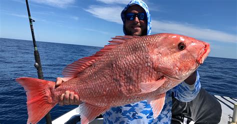 How To Catch Big Red Snapper Like A Boss Video