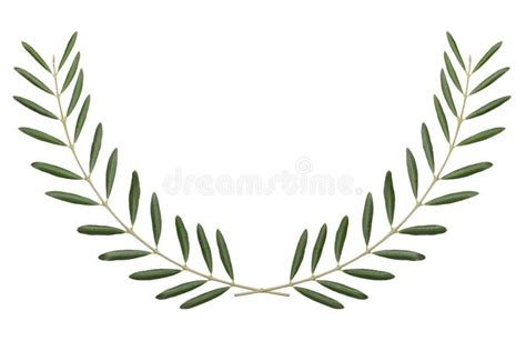 Olive Branch, Peace Symbol on White Background Stock Illustration ...