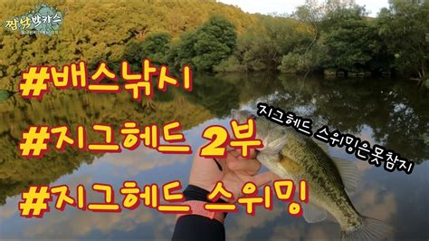 배스낚시 지그헤드 써보세요 지그헤드 2부 쉐이킹 스위밍 지그헤드 배스낚시 Bassfishing Youtube