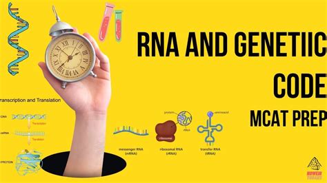 Biochemistry Rna And Genetic Code Mcat Prep Youtube