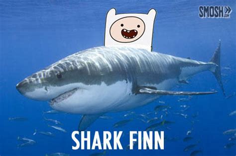 Shark Puns – Punpedia