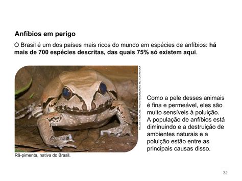 Aula Vertebrados I Peixes Anfíbios E Répteis Ppt