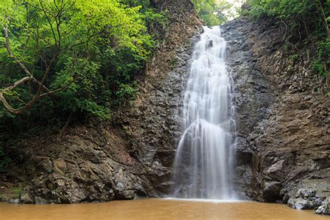 Montezuma Canopy and Waterfall Tour – Vista Las Islas