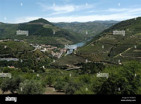 River Douro Portugal Pinhao Stunningly Beautiful Douro River