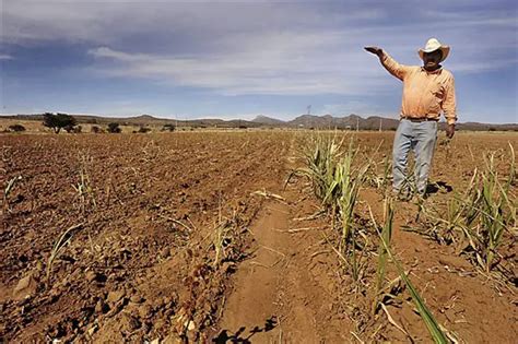 Yaquis Significado Historia Ubicación y mucho mas