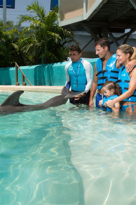 Canc N Swim With Dolphins At Interactive Aquarium Canc N Getyourguide